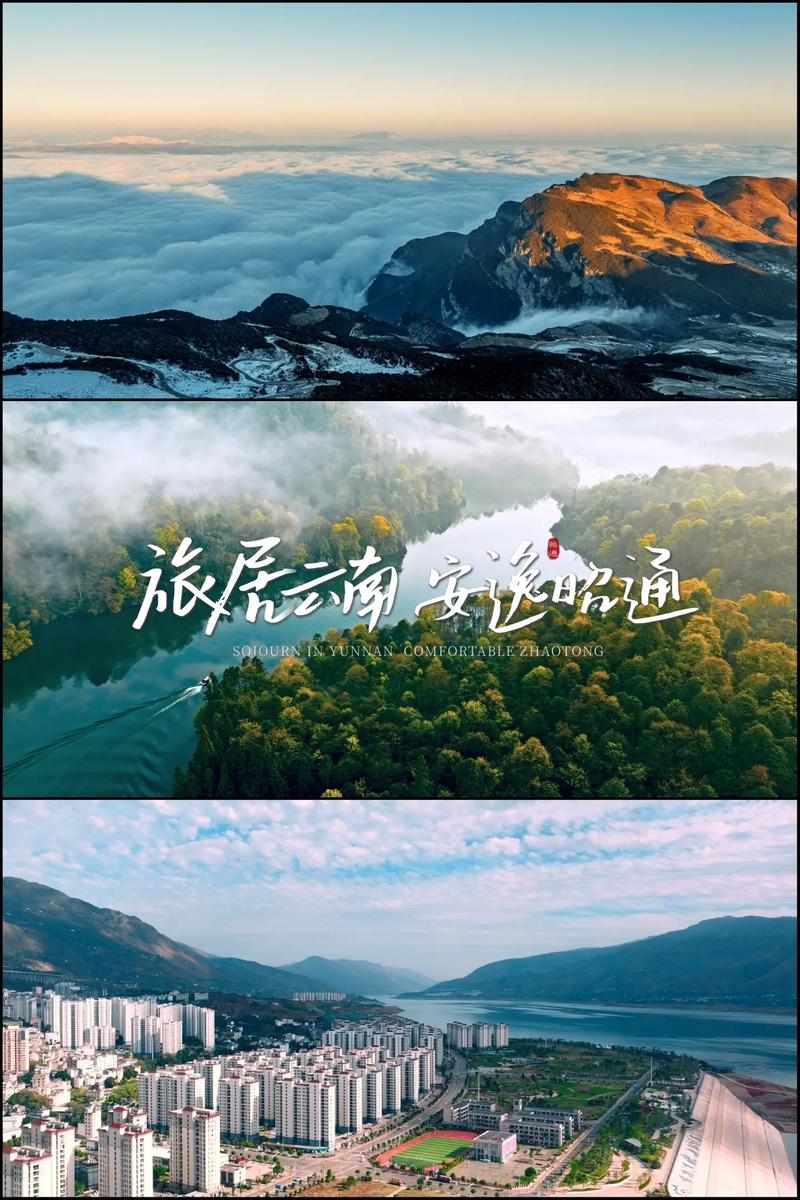品牌策划：在瞬息万变中把握机遇